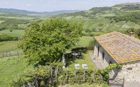 Marcigliana Cottage, Pool, Radicondoli: Plante, Bygning, Sky, Himmel, Naturlige Landskab, Træ, Highland, Hus, Landskab, Bunddække