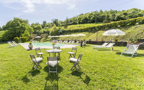 Marcigliana Cottage, Pool, Radicondoli: Græs, Landskab, Land Lot, Bunddække, Have, Forår, Eng, Udendørs Møbler, Fritid, Lawn