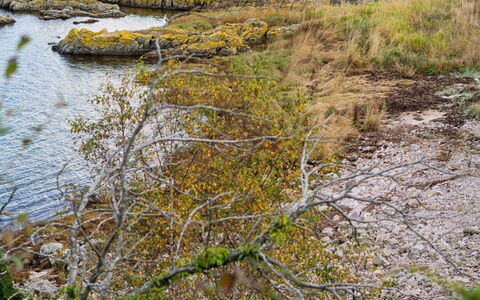 Caren - 75M from the Sea: Hus, Hjem, Tag, Sommerhus, Estate, Landscaping, Garden Bygninger, Sidespor, Stuehus