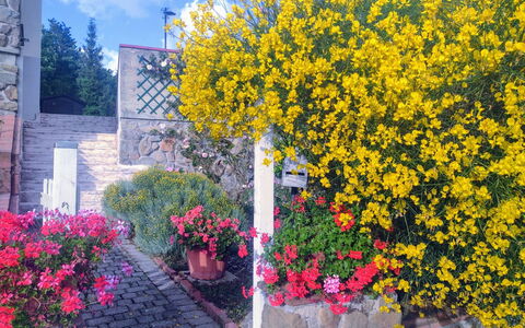 Bellavista Tuscany Apartment Panoramic Terrace: Blomst, Gul, Busk, Forår, Have, Landscaping, Stueplante