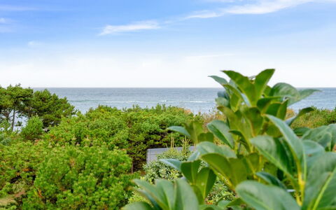 Kaleva - 100M from the Sea: Møbel, Indretning, Gulvbelægning, Etage, Loft, Værelse, Stol, Bord, Lejlighed, Køkken & Spisebord