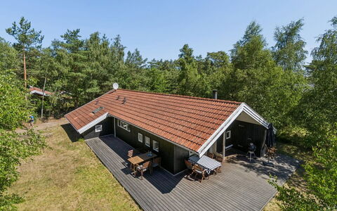 Aimo - 300M from the Sea: Vegetationen, Busk, Forår, Sommerhus, Have, Skygge, Backyard, Gård, Stol