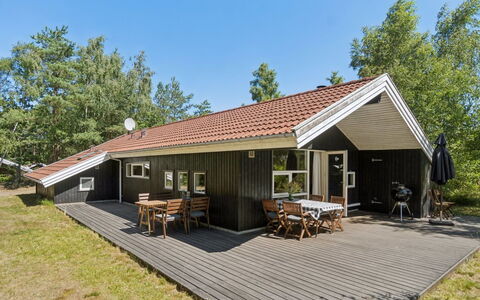 Aimo - 300M from the Sea: Vegetationen, Busk, Forår, Sommerhus, Have, Skygge, Backyard, Gård, Stol