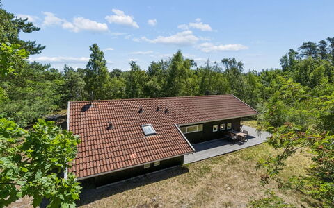 Aimo - 300M from the Sea: Vegetationen, Busk, Forår, Sommerhus, Have, Skygge, Backyard, Gård, Stol