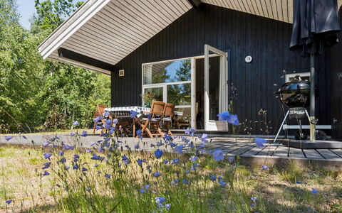 Aimo - 300M from the Sea: Vegetationen, Busk, Forår, Sommerhus, Have, Skygge, Backyard, Gård, Stol