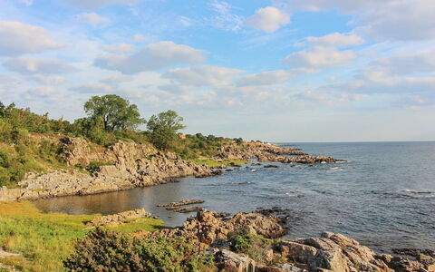 Franca - 75M from the Sea: Hus, Hjem, Tag, Sommerhus, Estate, Landscaping, Garden Bygninger, Sidespor, Stuehus