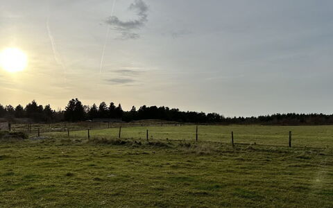 Sönke - 4Km from the Sea: Himmel, Græs, Sky, Græs-, Horisont, Naturlige Landskab, Almindeligt, Mark, Økoregion, Pasture