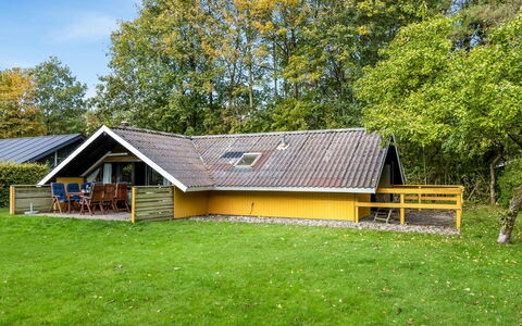 Amila - 30Km from the Sea: Sommerhus, Tag, Garden Bygninger, Lawn, Skur, Stuehus, Skygge, Gård, Sidespor, Backyard