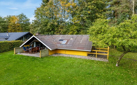 Amila - 30Km from the Sea: Sommerhus, Tag, Lawn, Stuehus, Have, Estate, Garden Bygninger, Gård, Skygge, Landscaping