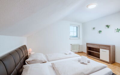 Feriebolig:&nbsp;Ferienwohnung Grimmingblick 605.2