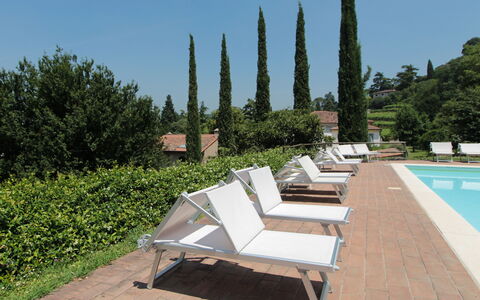Il Vigneto, Verona, Pool, Wifi: Udendørs Møbler, Liggestol, Svømmepøl, Skygge, Have, Udvej, Landscaping, Gårdsplads, Eco Hotel, Chaiselong