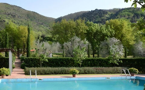 Villa Bongi: Svømmepøl, Busk, Have, Eco Hotel, Udvej, Hacienda, Estate, Landscaping, Plantation, Evergreen