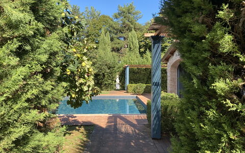 Villa Bongi: Blad, Grøn, Busk, Have, Skygge, Vedplante, Landscaping, Svømmepøl, Evergreen, Hæk
