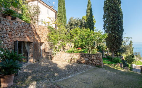 Il Faro: Busk, Have, Stenmur, Landscaping, Evergreen