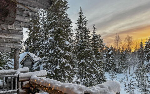 Villa Rokova: Sne, Vinter, Træ, Afdeling, Fryser, Frost, Hældning, Skov, Lærk, Sommerhus