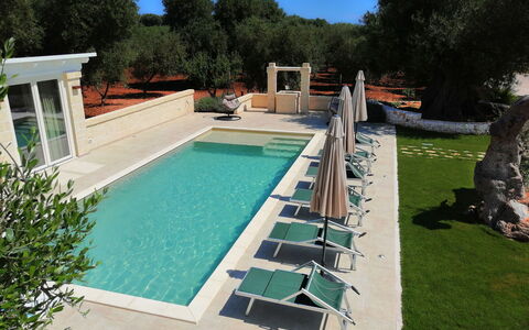 Villa Adriatica Near Ostuni Puglia: Vand, Ejendom, Plante, Svømmepøl, Himmel, Rektangel, Bygning, Skygge, Træ, Græs