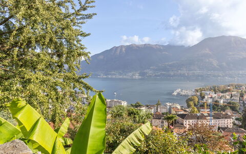 Locarno 361: Vand, Himmel, Sky, Bjerg, Bygning, Natur, Plante, Naturlige Landskab, Terrestrisk Plant, Vegetationen