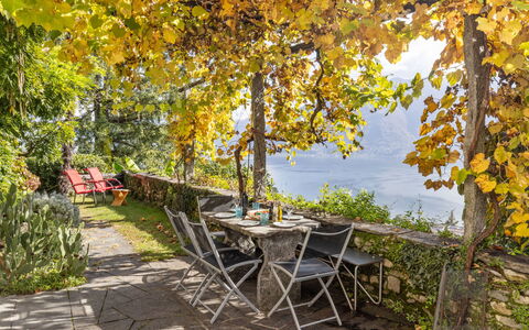Locarno 361: Plante, Vand, Blad, Naturlige Landskab, Bord, Afdeling, Træ, Skygge, Træ, Udendørs Møbler