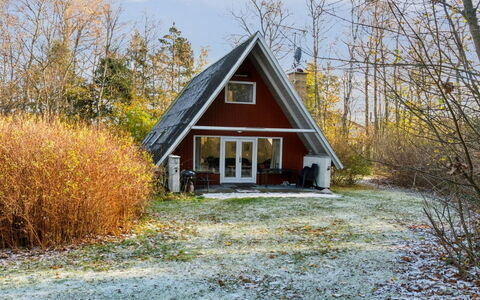 Maikel - 1Km from the Sea: Hus, Hjem, Tag, Sommerhus, Estate, Landscaping, Garden Bygninger, Sidespor, Stuehus