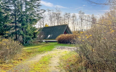 Maikel - 1Km from the Sea: Hus, Hjem, Tag, Sommerhus, Estate, Landscaping, Garden Bygninger, Sidespor, Stuehus