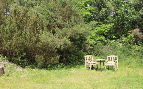 Mielikki - 2Km from the Sea: Vegetationen, Busk, Plantesamfund, Land Lot, Have, Bunddække, Naturreservat, Vedplante, Shrubland