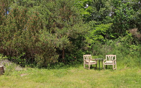 Mielikki - 2Km from the Sea: Vegetationen, Busk, Plantesamfund, Bunddække, Have, Naturreservat, Udendørs Møbler, Shrubland, Eng