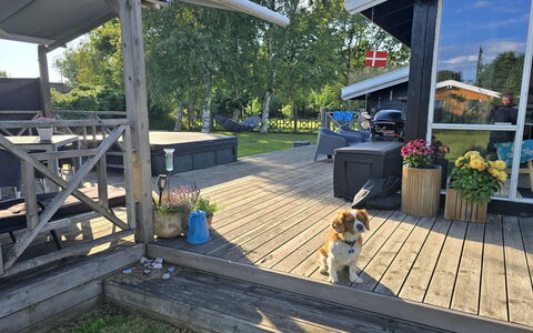 Lidewij - 800M from the Sea: Græs, Græs-, Land Lot, Sommerhus, Landdistrikt, Eng, Garden Bygninger, Have, Skur