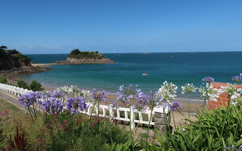 Ker Lolis: Blomst, Vand, Plante, Himmel, Azure, Strand, Coastal Og Oceaniske Landskabsformer, Naturlige Landskab, Fritid, Horisont