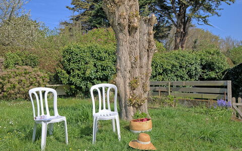 Ker Lolis: Busk, Bagagerum, Have, Udendørs Møbler, Lawn, Udendørs Bench, Backyard, Landscaping, Gård, Parkere