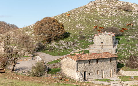 Arcidosso 300: Sky, Himmel, Plante, Vand, Træ, Horisont, Landdistrikt, Landskab, Hus, Cumulus