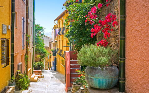 Collioure 150: Himmel, Plante, Bygning, Vindue, Vejbelægning, Skygge, Træ, Asfalt, Land Lot, Hus
