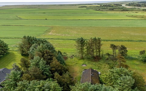 Brawith - 700M to the Fjord: Grøn, Græs-, Almindeligt, Landskab, Mark, Økoregion, Land Lot, Landdistrikt, Luftfotografering