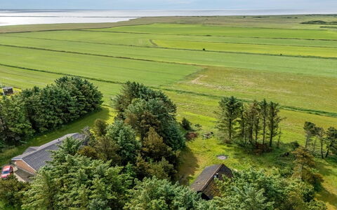 Brawith - 700M to the Fjord: Grøn, Naturlige Landskab, Græs-, Almindeligt, Mark, Landskab, Økoregion, Land Lot, Landdistrikt, Plantation
