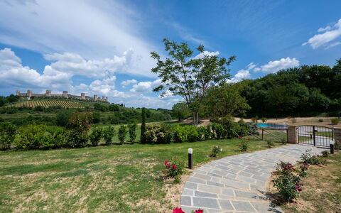 La Capanna, Borgo Campassini, Monteriggioni: Græs, Natur, Landskab, Græs-, Busk, Land Lot, Almindeligt, Have, Forår, Plantation
