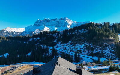 Edelweiss