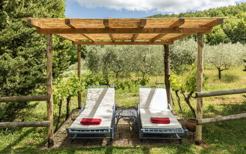 Podere Monti: Træ, Møbel, Udendørs Møbler, Have, Skygge, Hårdttræ, Bejdse, Udendørs Struktur, Udendørs Bord, Backyard