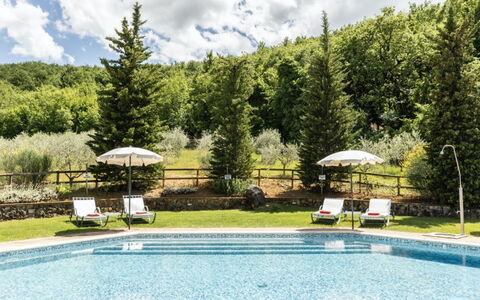 Podere Monti: Møbel, Svømmepøl, Udvej, Udendørs Møbler, Liggestol, Lærk, Water Feature, Eco Hotel, Thermae
