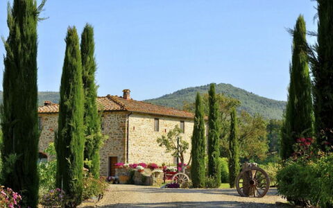 Mulino della Villa: Busk, Have, Landscaping, Plantation, Evergreen, Pine Family