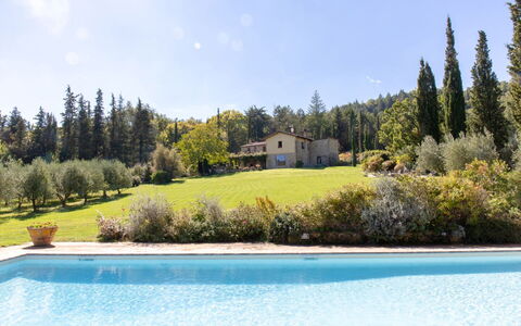 Villa la Felce: Træ, Busk, Estate, Have, Svømmepøl, Landscaping, Stuehus, Lærk, Hacienda, Villa