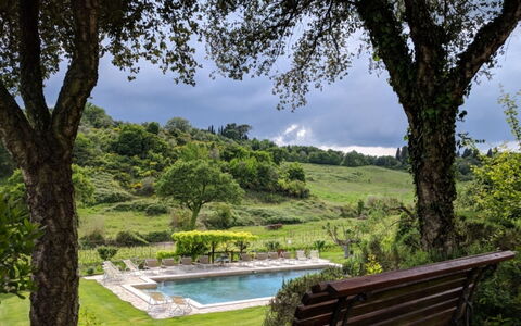 Podere della Bruciata: Træ, Busk, Svømmepøl, Have, Lawn, Landscaping, Eco Hotel, Backyard, Udvej