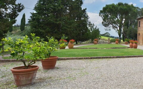 Il Tinaio: Busk, Have, Blomsterkrukke, Landscaping, Flise, Walkway, Gård, Lawn, Hacienda