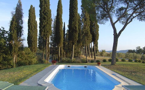 Santo Stefano: Svømmepøl, Have, Landscaping, Estate, Backyard, Skygge, Villa, Evergreen, Hacienda
