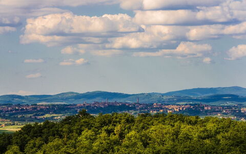 Villa Giuncheto: Himmel, Blå, Daytime, Natur, Naturligt Miljø, Horisont, Bakke, Sky, Naturlige Landskab, Græs-