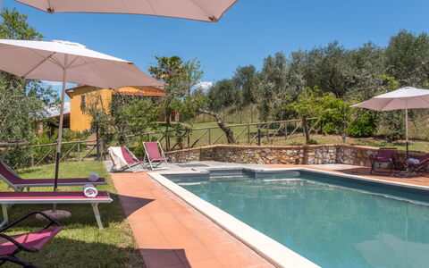 Bellaria: Svømmepøl, Estate, Hacienda, Have, Udvej, Landscaping, Eco Hotel, Backyard, Villa, Liggestol