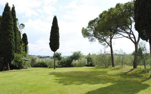 Villa Il Poggio: Græs, Træ, Blad, Afdeling, Busk, Land Lot, Græs-, Almindeligt, Bagagerum