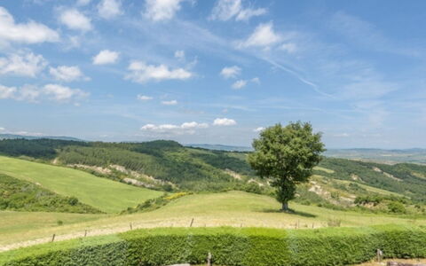 Podere del Mezzadro: Himmel, Grøn, Græs, Naturligt Miljø, Natur, Græs-, Naturlige Landskab, Bakke, Vegetationen