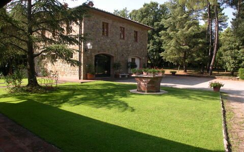 Villa Antonella: Busk, Have, Lawn, Hacienda, Gård, Skygge, Landscaping, Backyard, Estate, Indkørsel