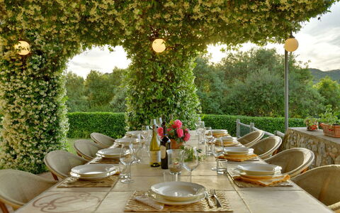Villa Anima: Møbel, Bord, Bordservice, Udendørs Bord, Have, Dug, Stol, Udendørs Møbler, Restaurant, Køkken & Spisebord