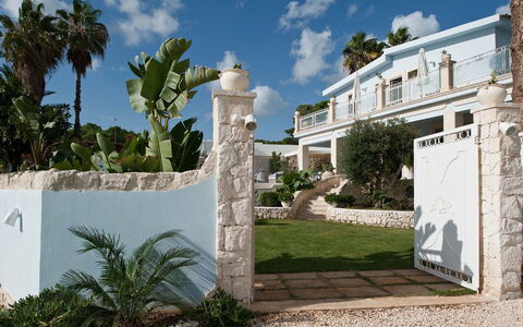 Villa Teresa: Estate, Skygge, Hacienda, Mansion, Udvej, Landscaping, Villa, Beton, Have