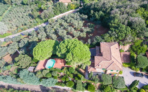 Villa Magazzini: Vegetationen, Landskab, Estate, Fugleperspektiv, Luftfotografering, Forstad, Plantation, Landscaping